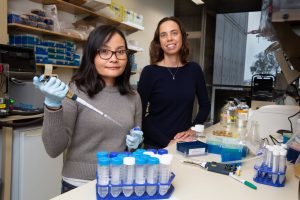 Salk Institute scientists Jovylyn Gatchalian and Diana Hargreaves. Credit: Salk Institute